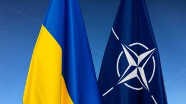 Страны-участницы НАТО не желают видеть Украину в своем составе