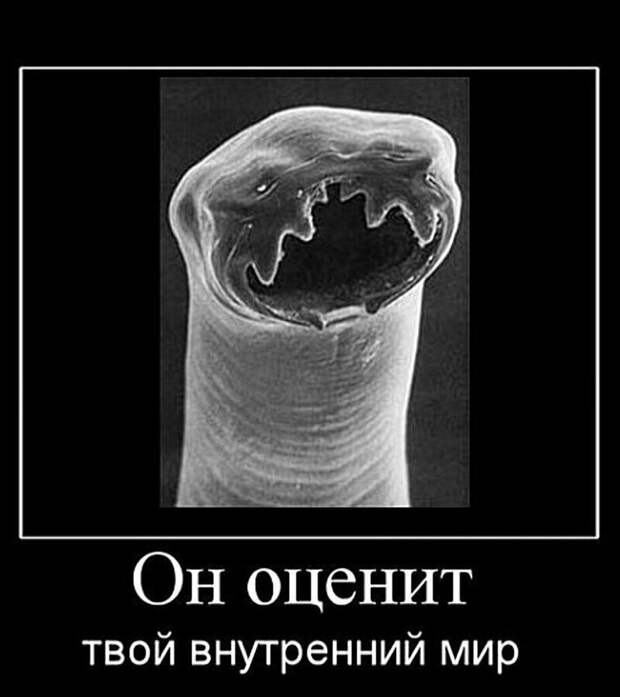Особый пост для любителей стейка с кровью