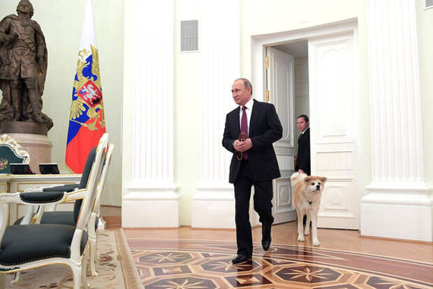 Накануне визита в Японию президент России Владимир Путин пришел на интервью телекомпании «Ниппон» и газете «Иомиури» с собакой