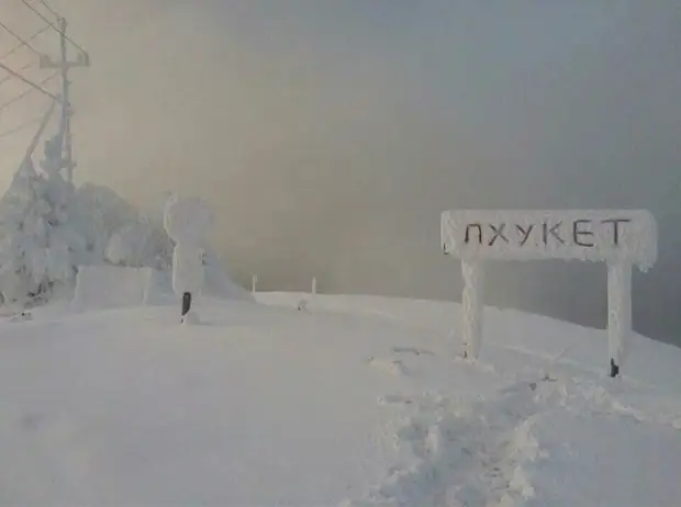 Воскресный юмор - лучшая подборка