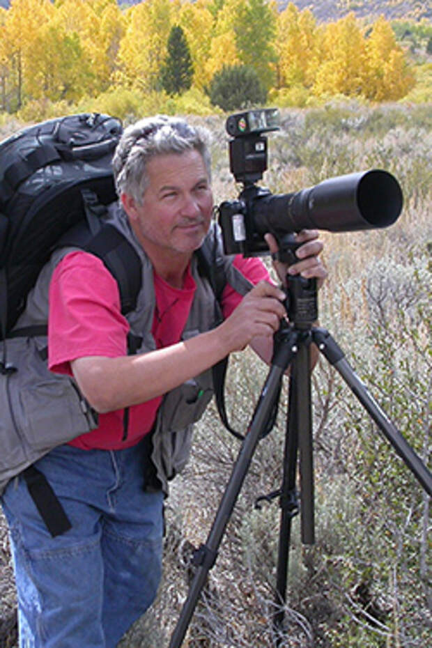 Don Gale Photographer