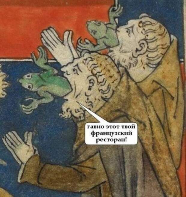 Средневековые приколы (24 фото)