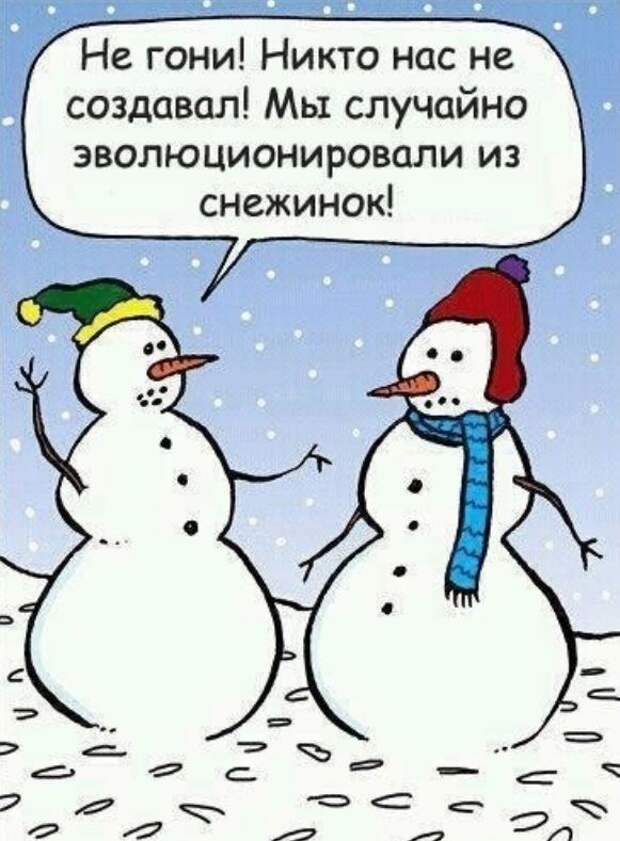картинки прикольные смешные (20)