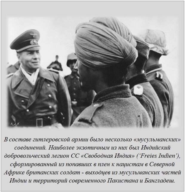 Интересные факты в картинках демотиваторы, история, факты
