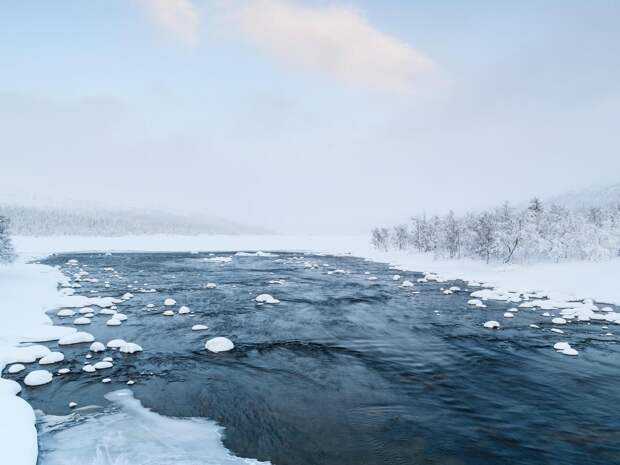 В Звенигороде похоронили 12-летнего Ивана, утонувшего в реке