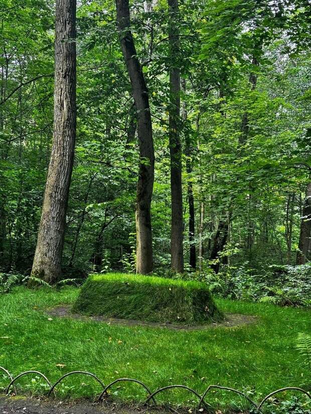 Как выглядит могила Льва Толстого среди зимних сугробов: редкое фото из Ясной Поляны