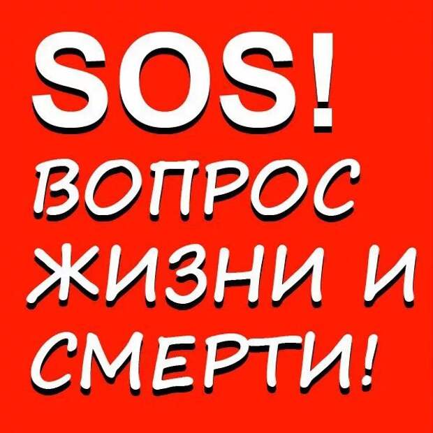 Они вот-вот станут пищей для лисиц... Умоляем, откликнитесь, помогите, потому что это реальный кошмар...