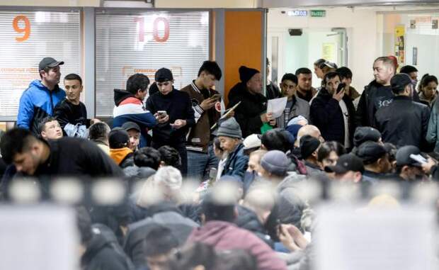 Пчелы против меда: Борьбу с незаконными анклавами в России решено доверить «клану бояр»