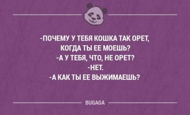 Прикольные фразы и забавные мысли. Часть 100 (20 шт)