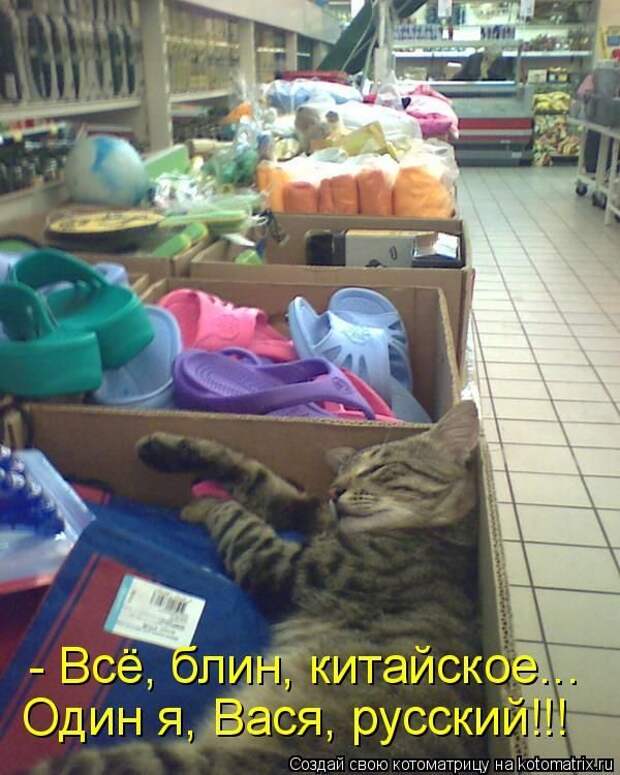 Лучшие котоматрицы недели