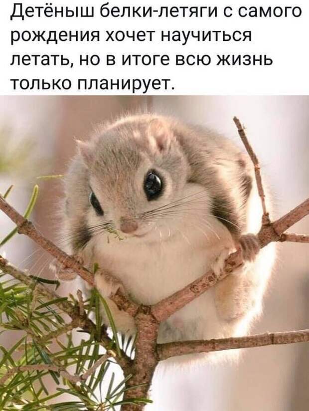 Подборка картинок. Вечерний выпуск (30 фото)
