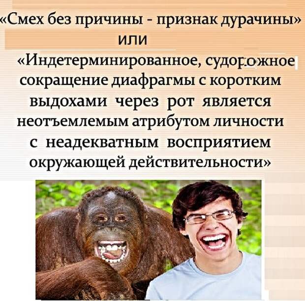 Картинки с надписями, истории и анекдоты