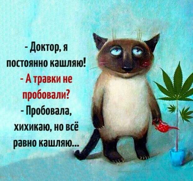 9bd293ccd46683e373043cd34f0d38c2.jpg