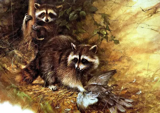 �������� ��� ���������.