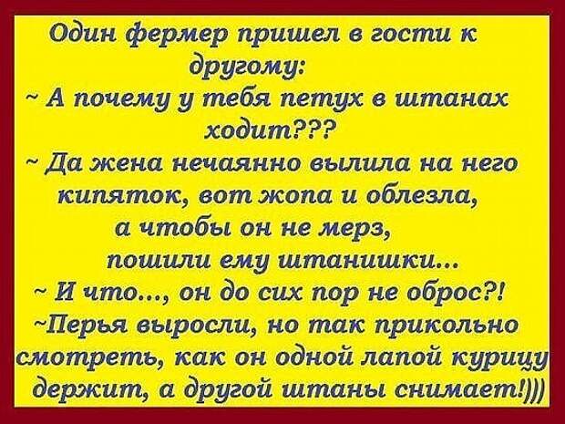 Муж внезапно пришел домой. Смотрит — на балконе полураздетый мужчина...