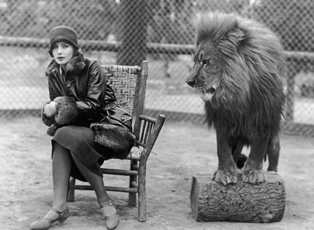 Грета Гарбо с львом Лео на студии MGM, 1926