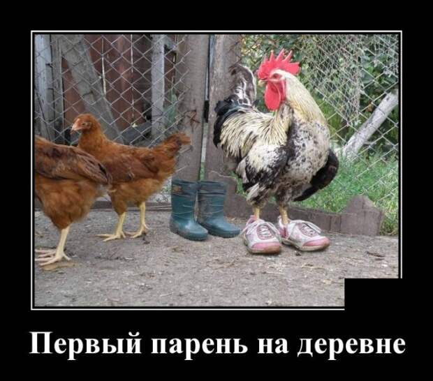 Демотиваторы 27 мая 2021