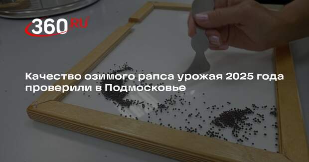 Качество озимого рапса урожая 2025 года проверили в Подмосковье