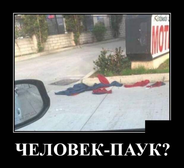 Демотиваторы (30 фото)