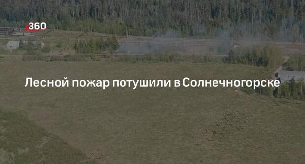 Лесной пожар потушили в Солнечногорске