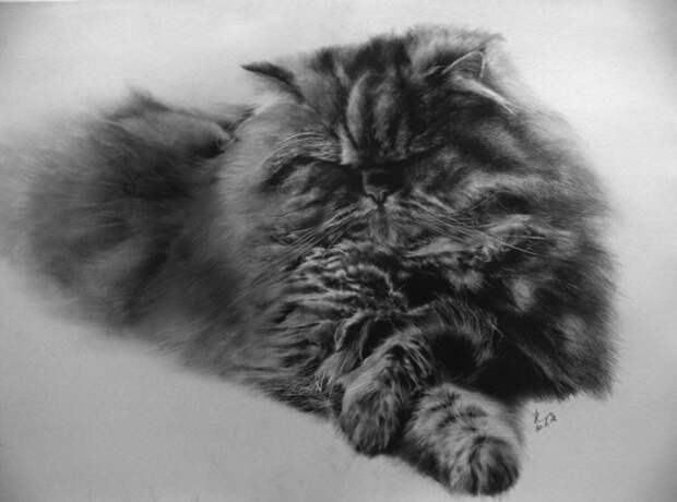 Рисунки карандашом