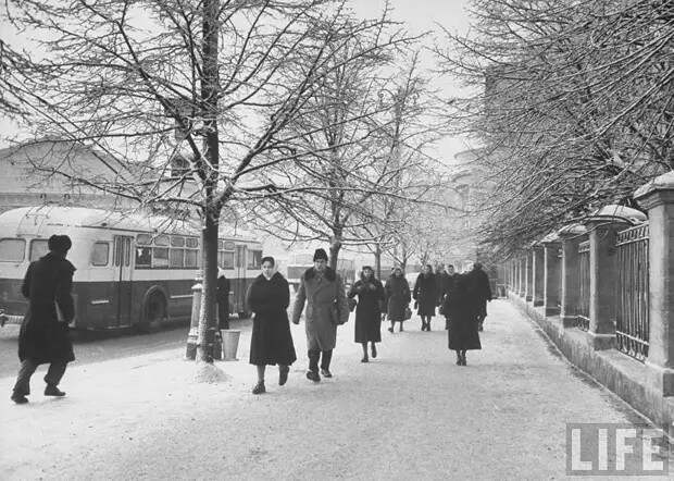 Фотография: Какой была Москва в декабре 1959 года №26 - BigPicture.ru