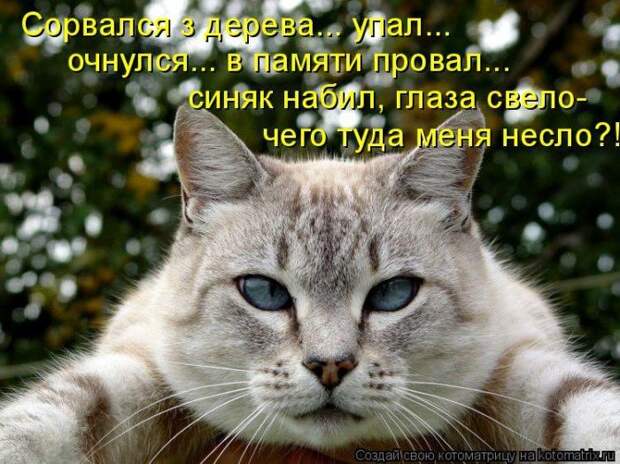 Мысли вслух :)
