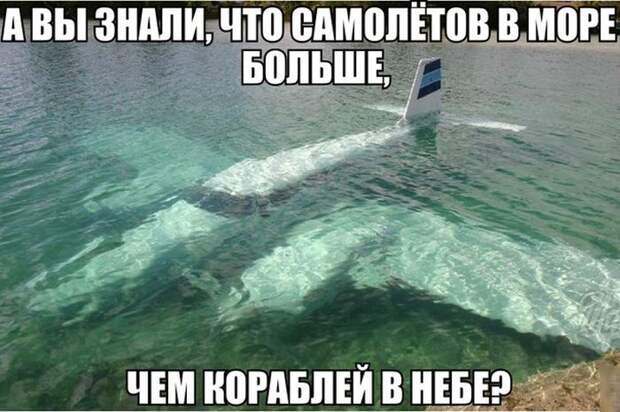 Прикольные картинки. Дневной выпуск (56 фото) Прикольные картинки. Дневной выпуск (56 фото)