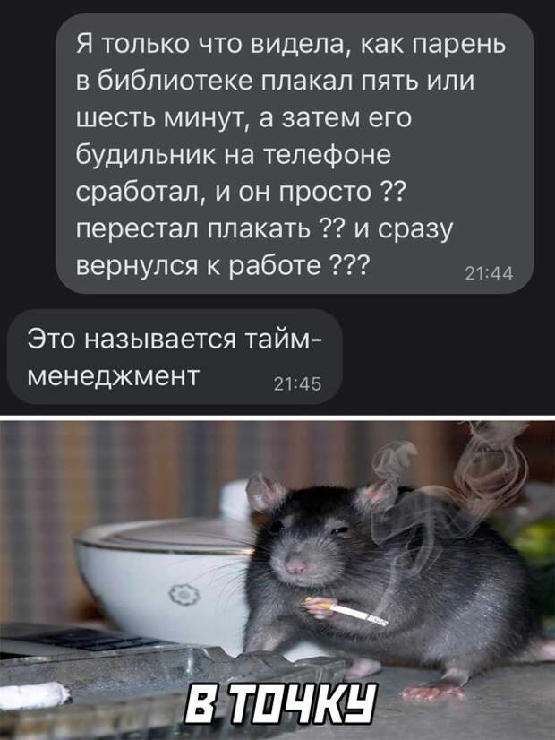Смешные картинки 8 октября 2021 года
