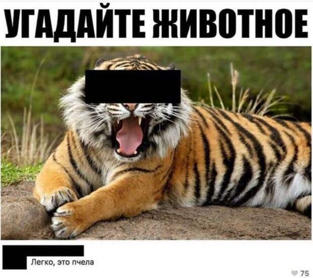Подборка прикольных картинок