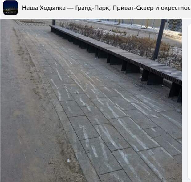 Подрядчик переусердствовал в уборке Ходынского парка