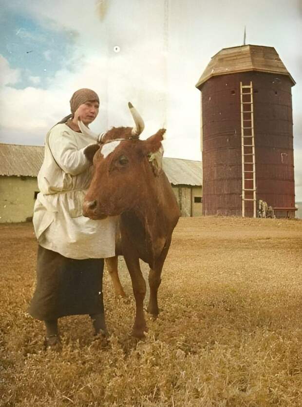 Колхозная жизнь Советского Союза