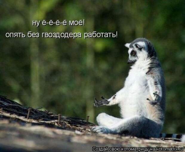 Мысли вслух :)