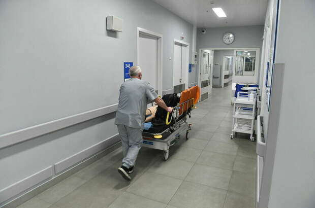 В Подмосковье госпитализировали второго зараженного «оспой обезьян»