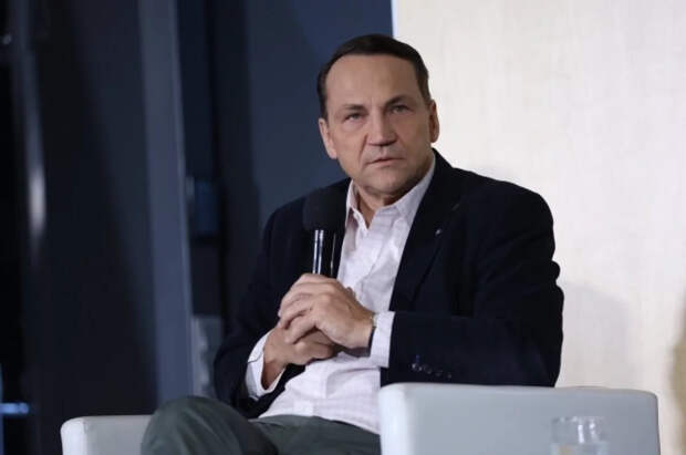 Сикорский: Украина не приняла все законы, необходимые для вступления в ЕС