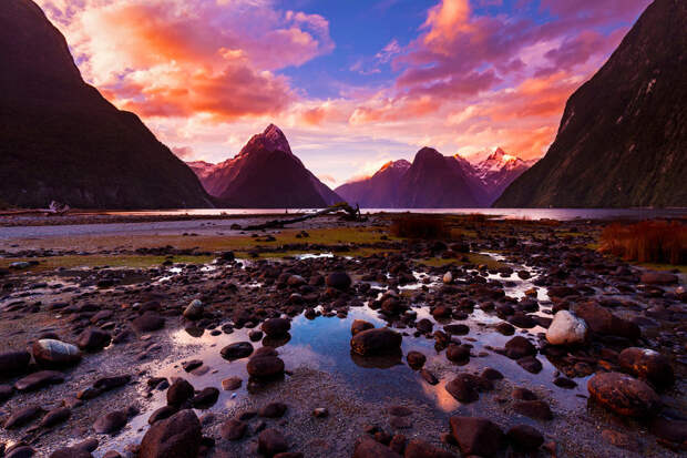 20 ярких снимков, после которых ты купишь билет в Новую Зеландию