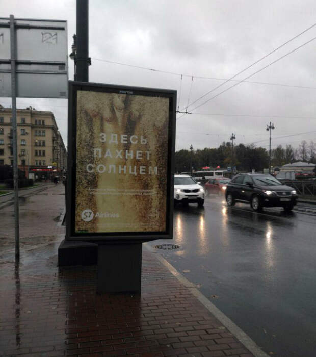 Солнцем и не пахнет!