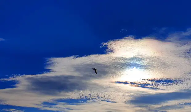 Дата потепления до +25°C названа в Приморье