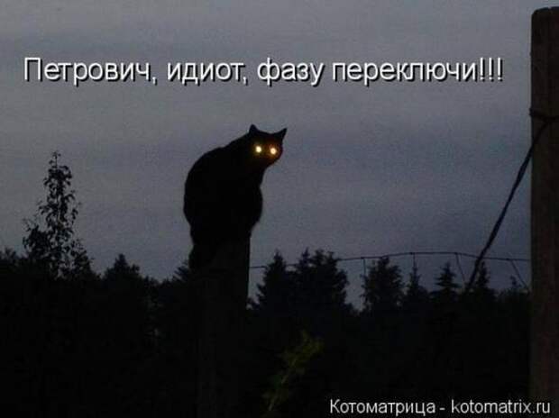 Котоматрицы(картинки с надписями)