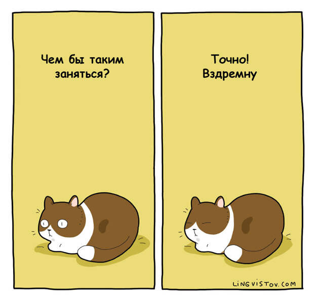 18 комиксов о нелегкой жизни с кошкой 18 комиксов о нелегкой жизни с кошкой