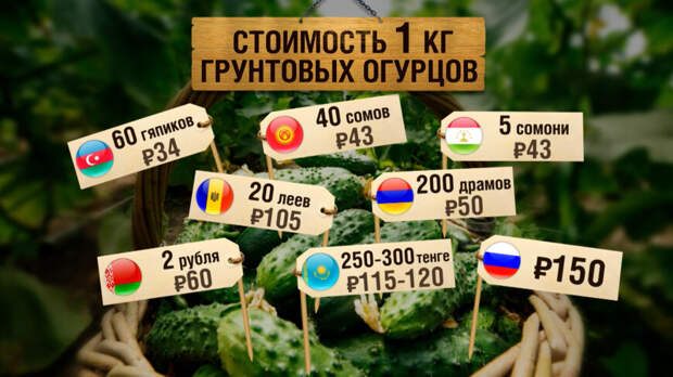 Сколько стоит килограмм огурцов в странах Содружества?