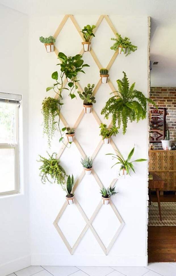 Отличное решение для украшение комнаты – это создать подвесной мини-сад на стене.