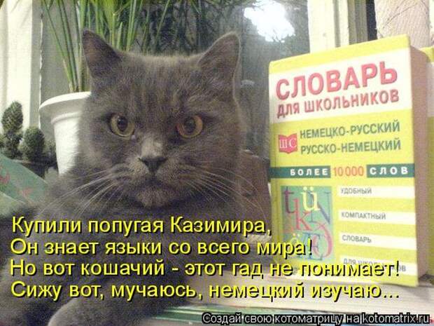 Мысли вслух :)