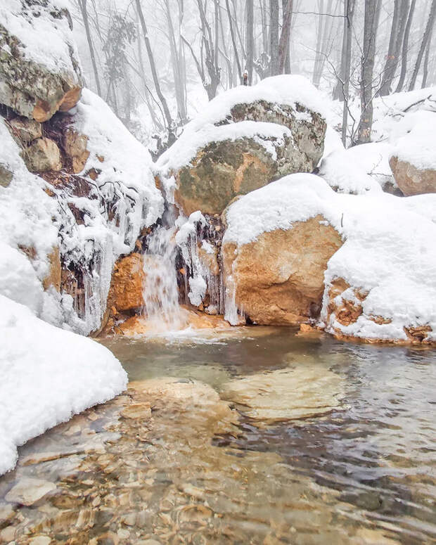 Доброе утро! И хорошего дня!