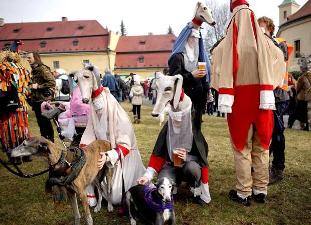 kartinok-veselyh-interesnyh-kartinki-smeshnye-kartinki-fotoprikoly