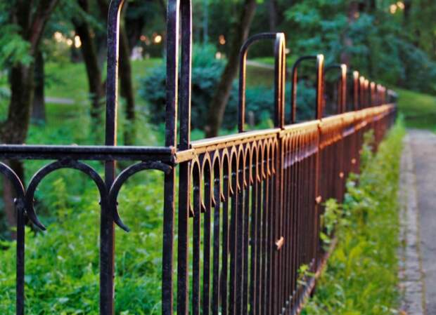 Як доглядати за парканом з кованого заліза. 4 поради