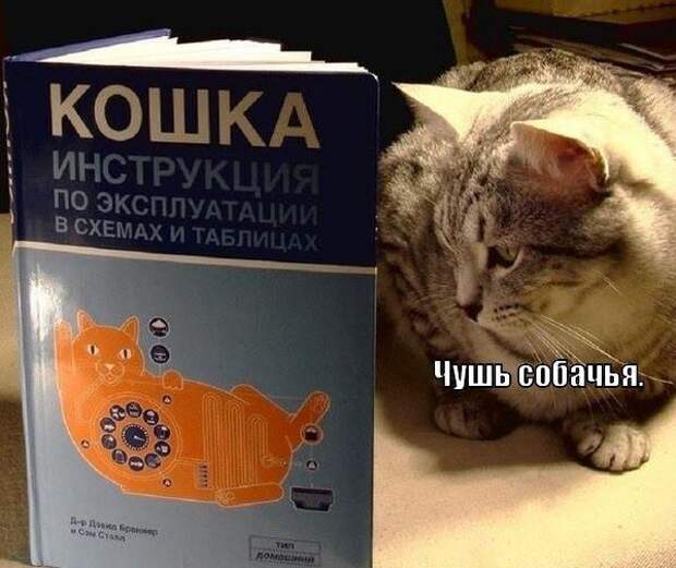 Картинки на пятницу