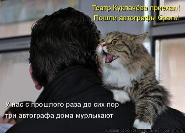 Котоматрицы(картинки с надписями)