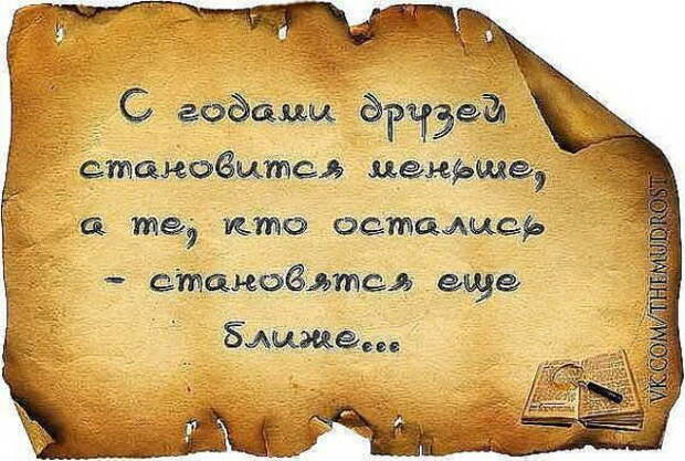 Трезвые мысли в картинках Трезвые мысли в картинках