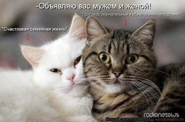 Семейная жизнь: как это? &#9786;&#9829;&#9786;
